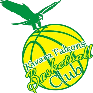 KWARA FALCONS Team Logo